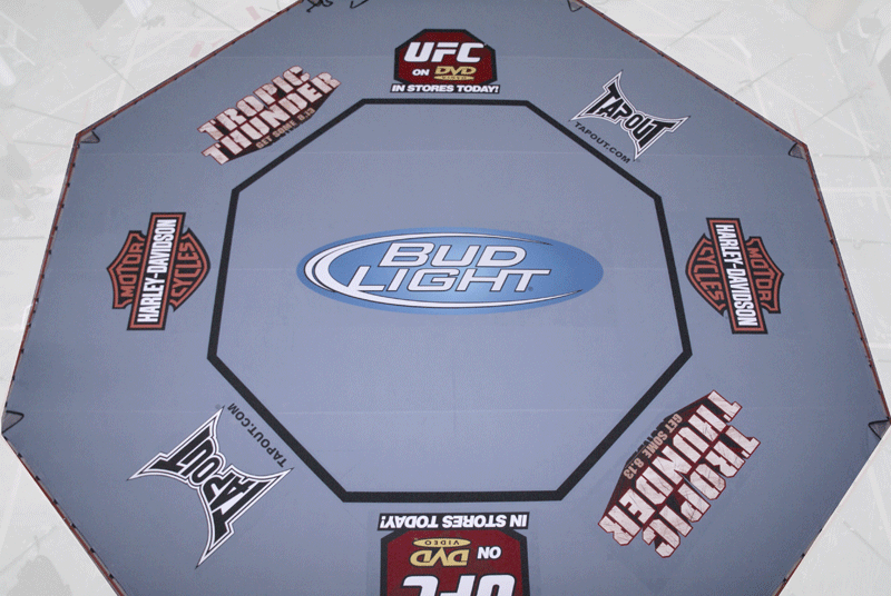 UFC fighting mat